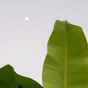 Meet your Posher, Justine